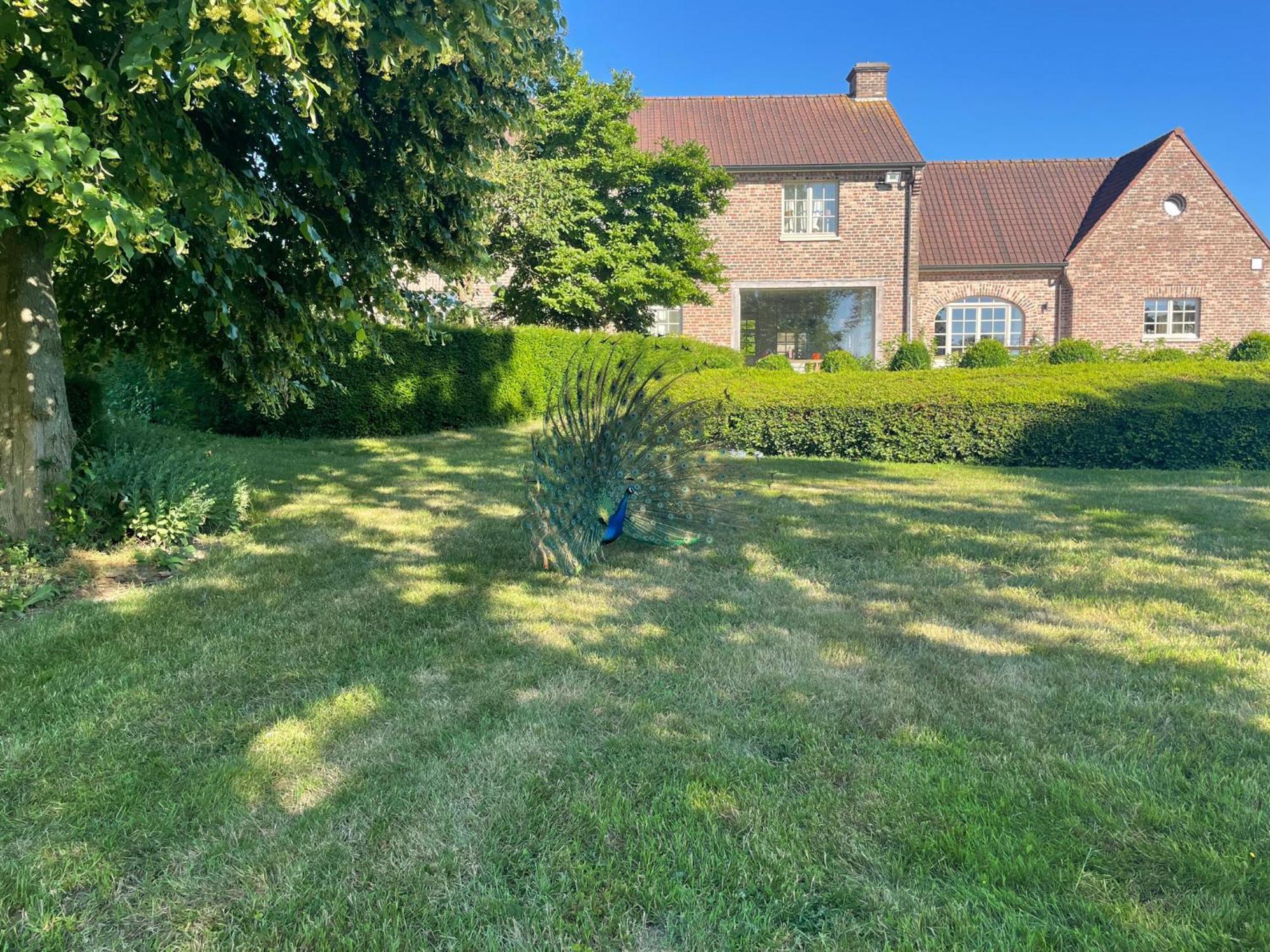 Imagine B&B Wortegem Exterior foto