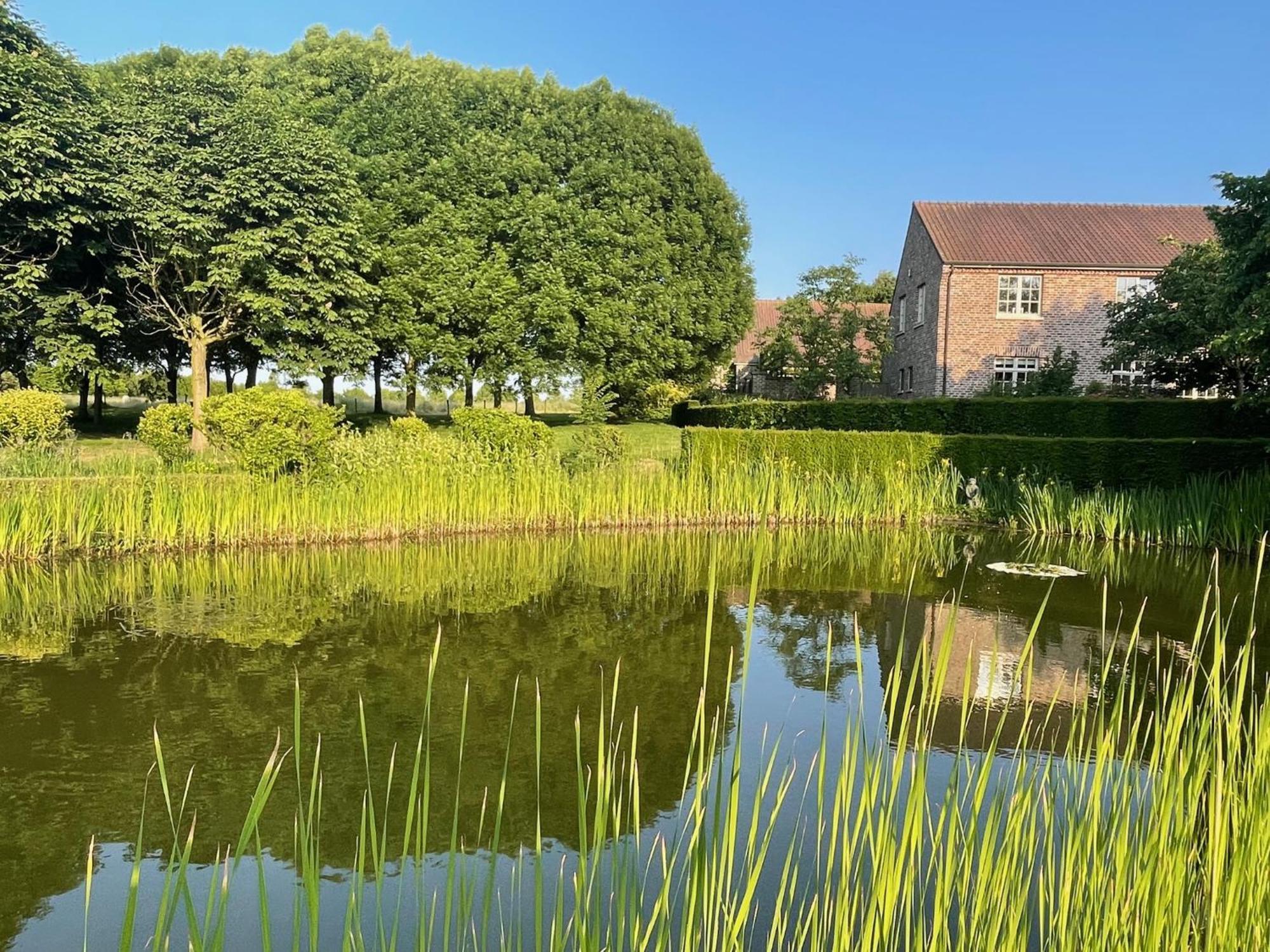 Imagine B&B Wortegem Exterior foto